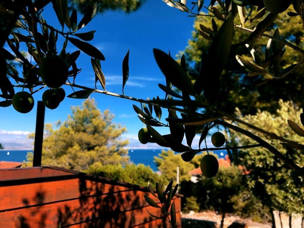 Villa Zdena Rogač Exterior foto